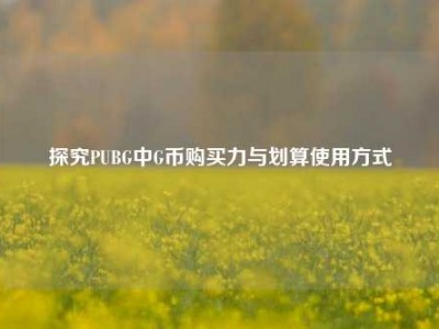 探究PUBG中G币购买力与划算使用方式