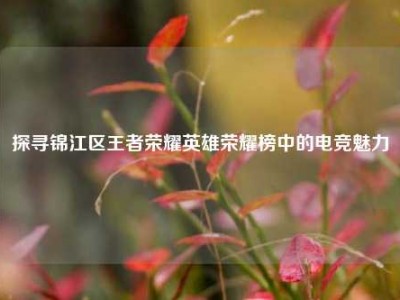 探寻锦江区王者荣耀英雄荣耀榜中的电竞魅力