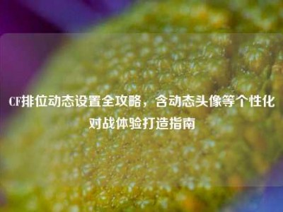 CF排位动态设置全攻略，含动态头像等个性化对战体验打造指南