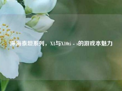 深海泰坦系列，X1与X10ti - s的游戏本魅力