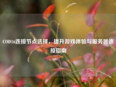 COD16连接节点选择，提升游戏体验与服务器连接指南