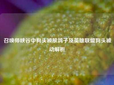 召唤师峡谷中狗头被放鸽子及英雄联盟狗头被动解析