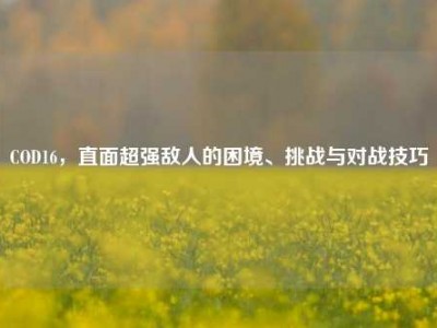 COD16，直面超强敌人的困境、挑战与对战技巧