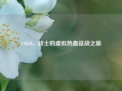 CSGO，战士的虚拟热血征战之旅