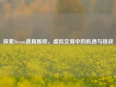 探索Steam道具搬砖，虚拟交易中的机遇与挑战