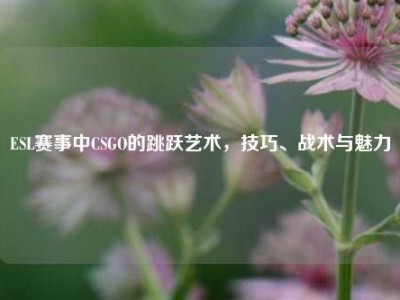 ESL赛事中CSGO的跳跃艺术，技巧、战术与魅力