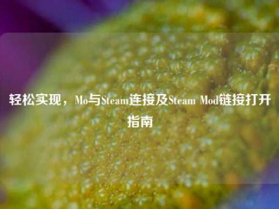 轻松实现，Mo与Steam连接及Steam Mod链接打开指南