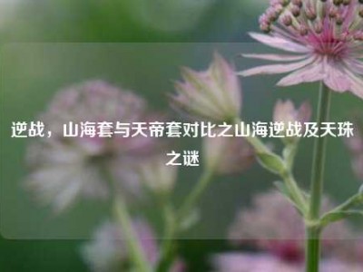 逆战，山海套与天帝套对比之山海逆战及天珠之谜