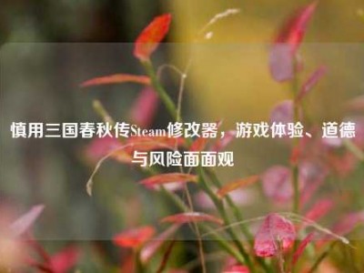 慎用三国春秋传Steam修改器，游戏体验、道德与风险面面观