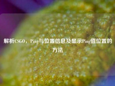解析CSGO，Ping与位置信息及显示Ping值位置的方法