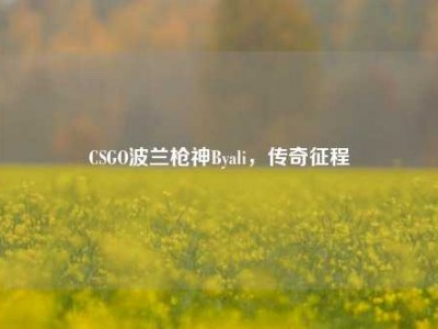 CSGO波兰枪神Byali，传奇征程