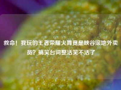 救命！我玩的王者荣耀火舞竟是峡谷滚地外卖员？搞笑台词整活笑不活了
