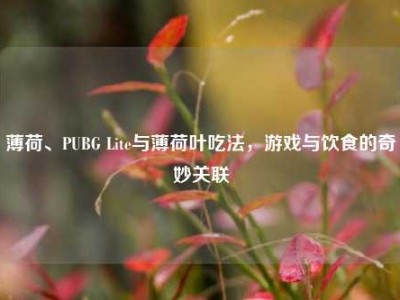 薄荷、PUBG Lite与薄荷叶吃法，游戏与饮食的奇妙关联