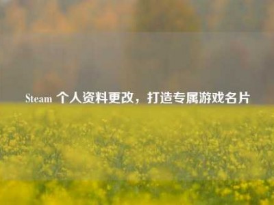 Steam 个人资料更改，打造专属游戏名片
