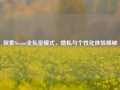 探索Steam全私密模式，隐私与个性化体验揭秘