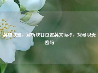 英雄联盟，解析峡谷位置英文简称，探寻职责密码