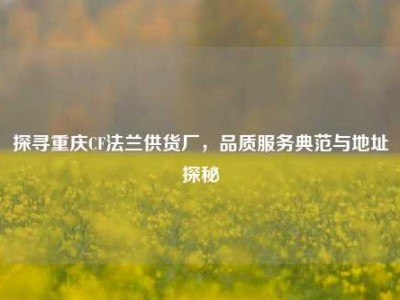 探寻重庆CF法兰供货厂，品质服务典范与地址探秘