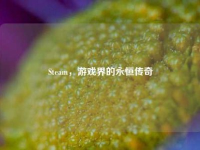 Steam，游戏界的永恒传奇