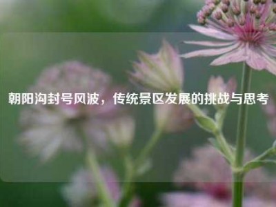 朝阳沟封号风波，传统景区发展的挑战与思考