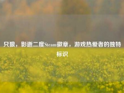 只狼，影逝二度Steam徽章，游戏热爱者的独特标识