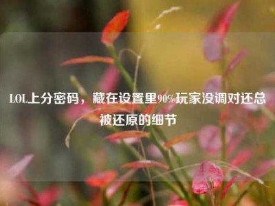 LOL上分密码，藏在设置里90%玩家没调对还总被还原的细节