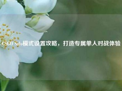 CSGO Solo模式设置攻略，打造专属单人对战体验
