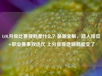 LOL升级比赛规则是什么？最新全解，路人排位+职业赛事双迭代 上分晋级逻辑彻底变了