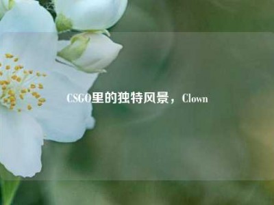 CSGO里的独特风景，Clown