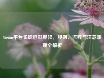 Steam平台雀魂退款期限，规则、流程与注意事项全解析
