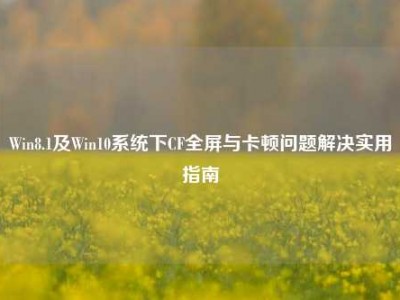 Win8.1及Win10系统下CF全屏与卡顿问题解决实用指南