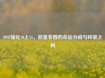 DNF强化10上11，欧皇非酋的命运分歧与碎装之问