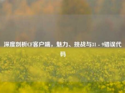 深度剖析CF客户端，魅力、挑战与31 - 9错误代码