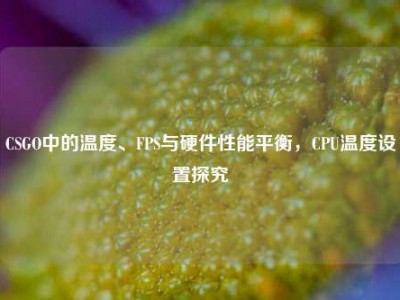 CSGO中的温度、FPS与硬件性能平衡，CPU温度设置探究