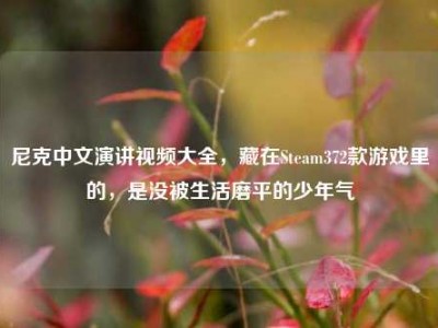尼克中文演讲视频大全，藏在Steam372款游戏里的，是没被生活磨平的少年气