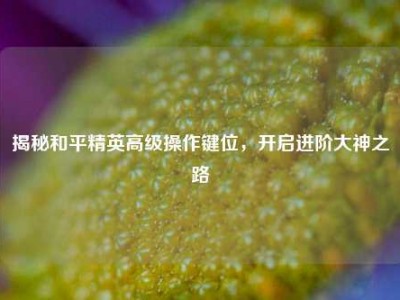 揭秘和平精英高级操作键位，开启进阶大神之路