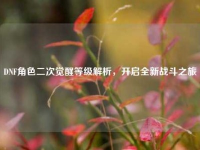 DNF角色二次觉醒等级解析，开启全新战斗之旅