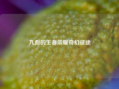 九彪的王者荣耀奇幻征途