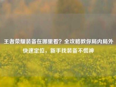 王者荣耀装备在哪里看？全攻略教你局内局外快速定位，新手找装备不慌神