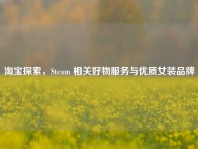 淘宝探索，Steam 相关好物服务与优质女装品牌