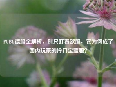 PUBG德服全解析，别只盯着欧服，它为何成了国内玩家的冷门宝藏服？