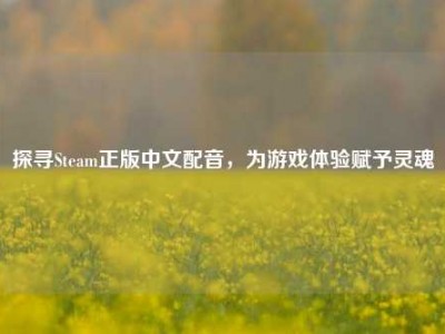探寻Steam正版中文配音，为游戏体验赋予灵魂