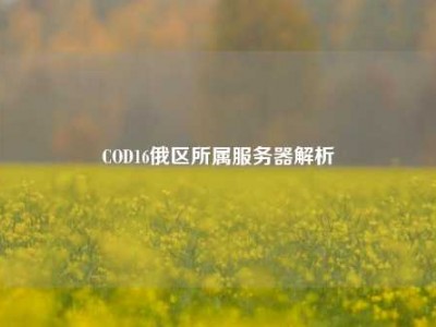 COD16俄区所属服务器解析