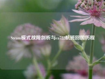 Steam模式故障剖析与ca722航班回国历程