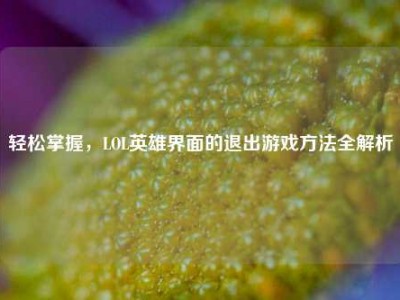 轻松掌握，LOL英雄界面的退出游戏方法全解析