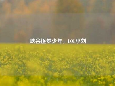 峡谷逐梦少年，LOL小刘