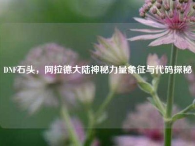 DNF石头，阿拉德大陆神秘力量象征与代码探秘