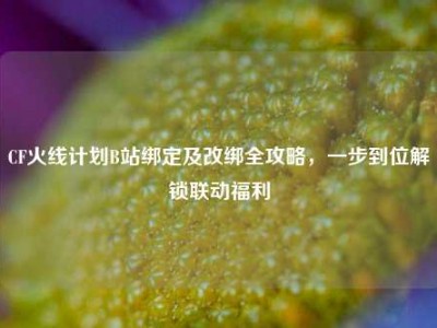 CF火线计划B站绑定及改绑全攻略，一步到位解锁联动福利