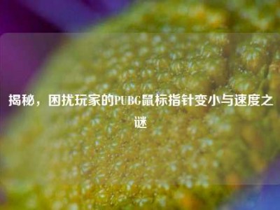 揭秘，困扰玩家的PUBG鼠标指针变小与速度之谜