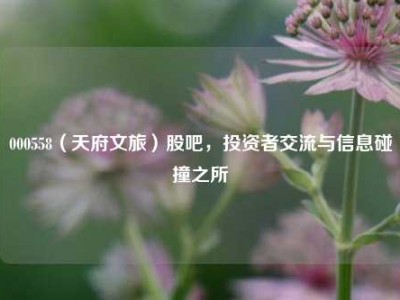 000558（天府文旅）股吧，投资者交流与信息碰撞之所