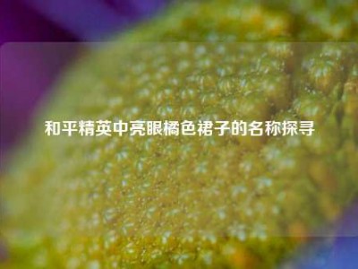 和平精英中亮眼橘色裙子的名称探寻